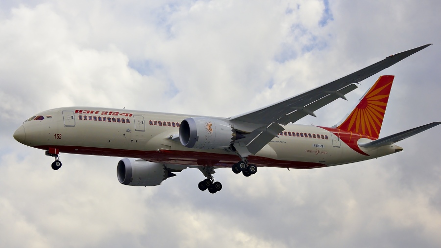 Netopýr na palubě Air India zapříčinil návrat letadla na letiště