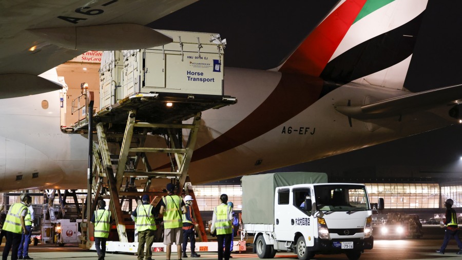 Emirates SkyCargo přepraví na olympiádu 247 koní